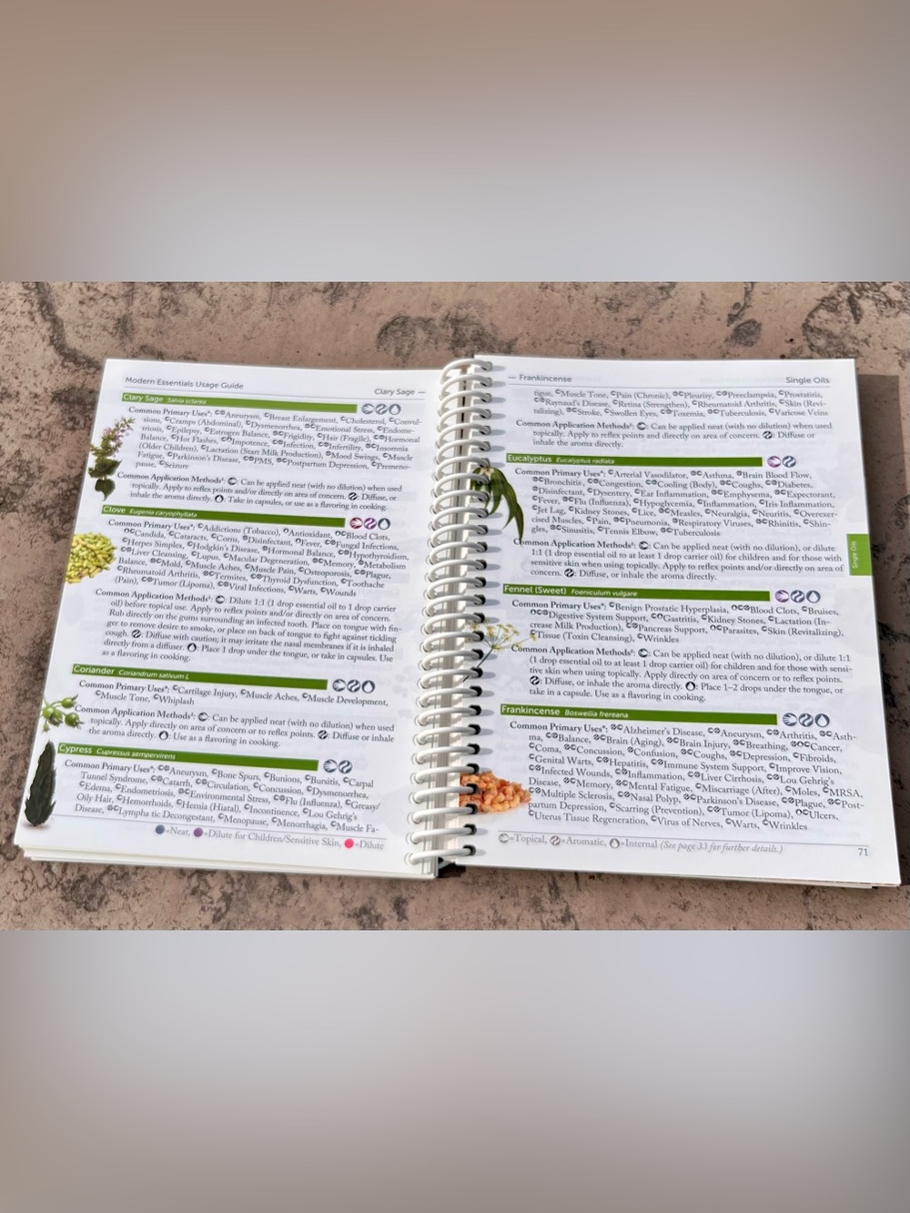 Doterra Eucalyptus, Lemon, Melaleuca, Balance, & Wild Orange Essential Oils - Picture 9 of 9